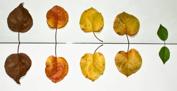 tolga ulkan 9k36qqha0cu unsplash